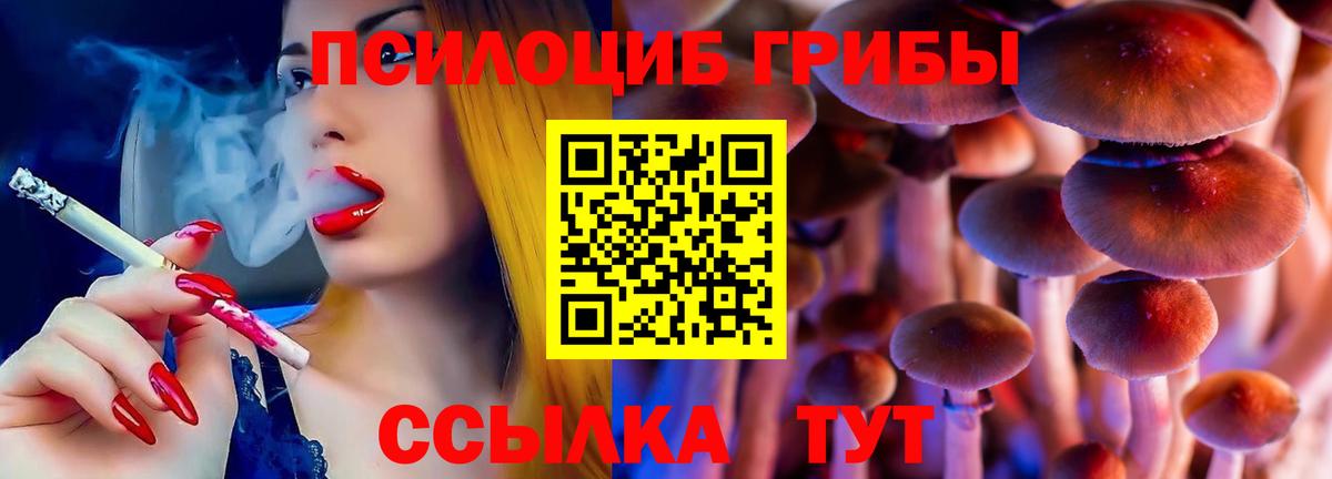 продажа наркотиков  Вход с VPN  Москва  Галлюциногенные грибы Psilocybine cubensis 